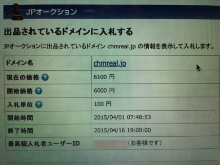 オークションで落札する羽目になったドメイン。