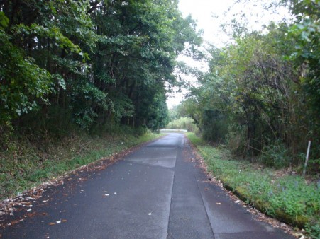 DSC02624
